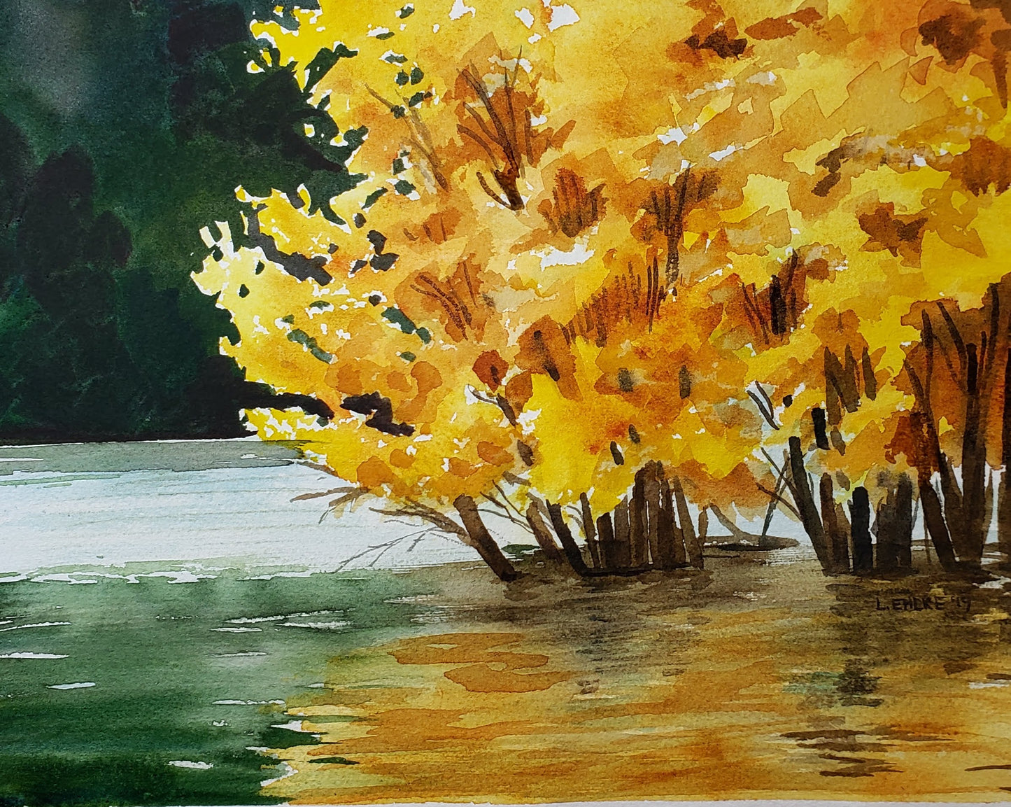 Tree in Water - 11" X 14" Print