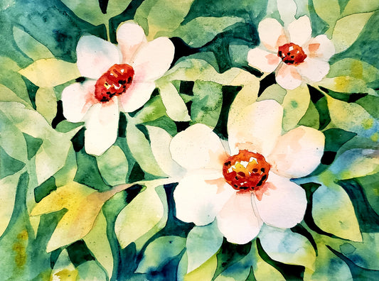 Flowers - 11" X 14" Print