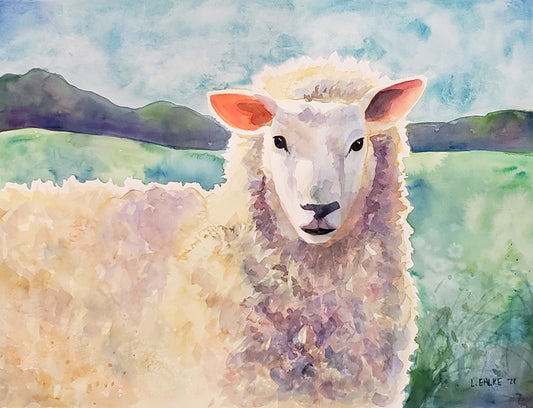 Sheep - 11" X 14" Print