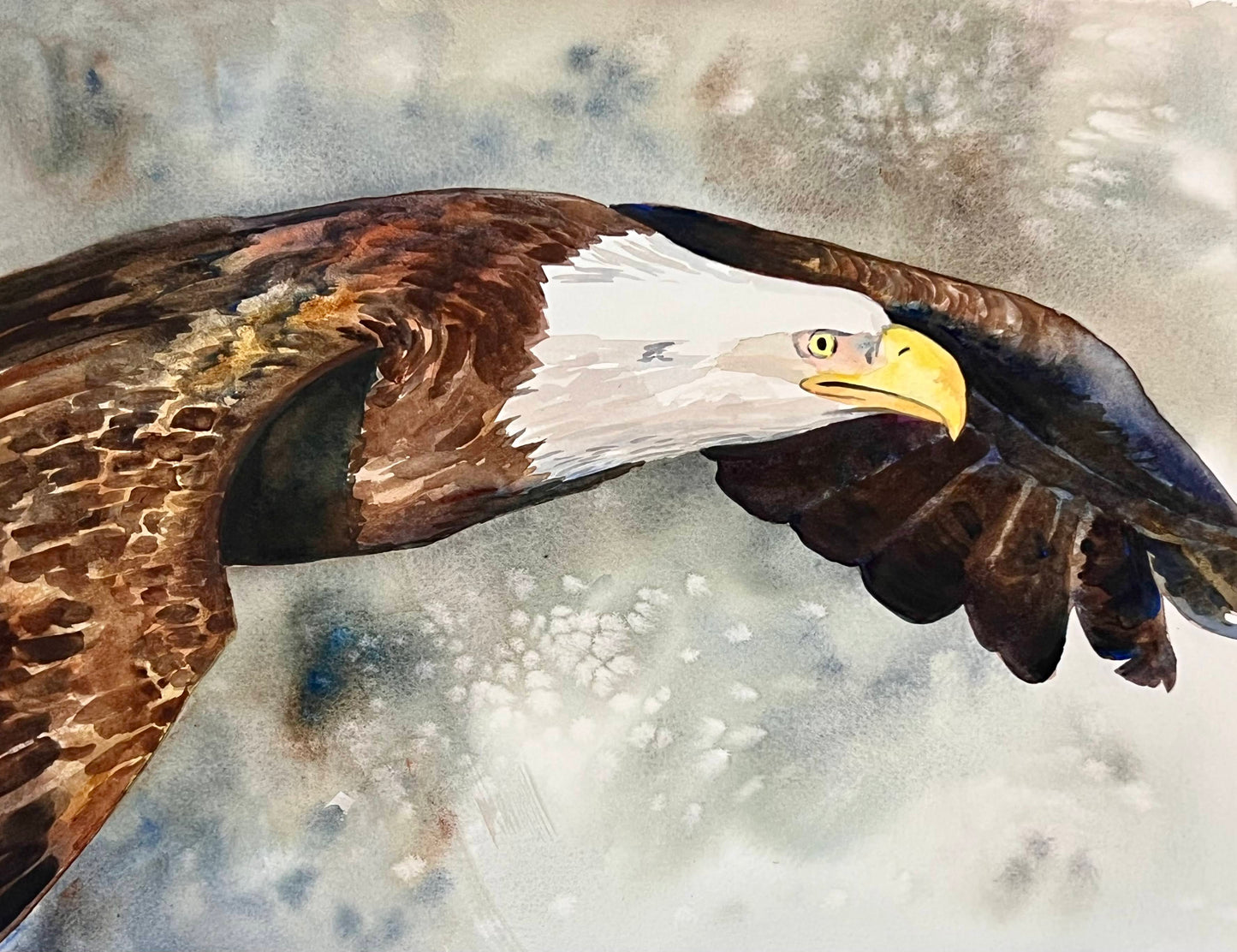 Gray Eagle - Watercolor Print
