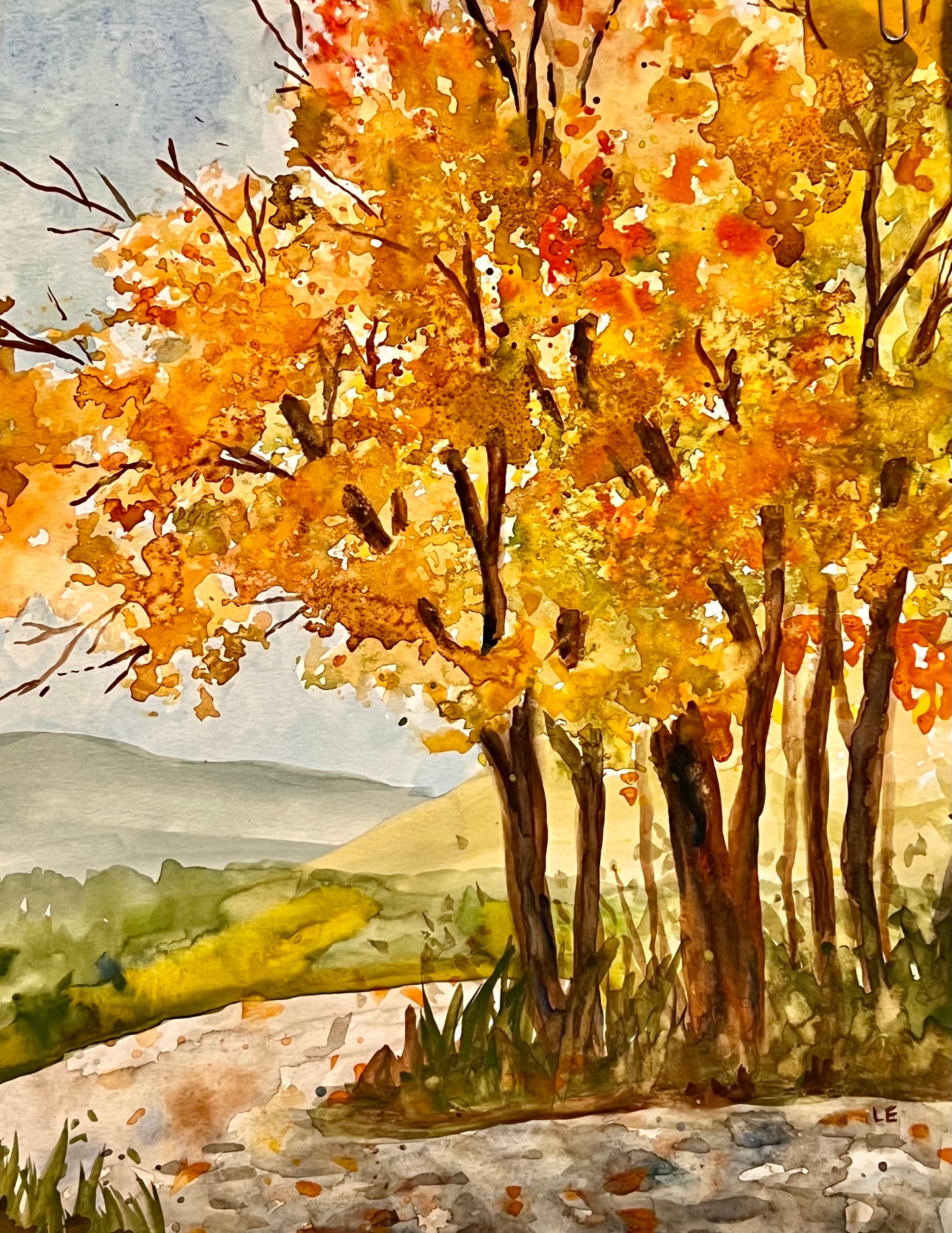 Fall Trees on Paper 11" X 14"