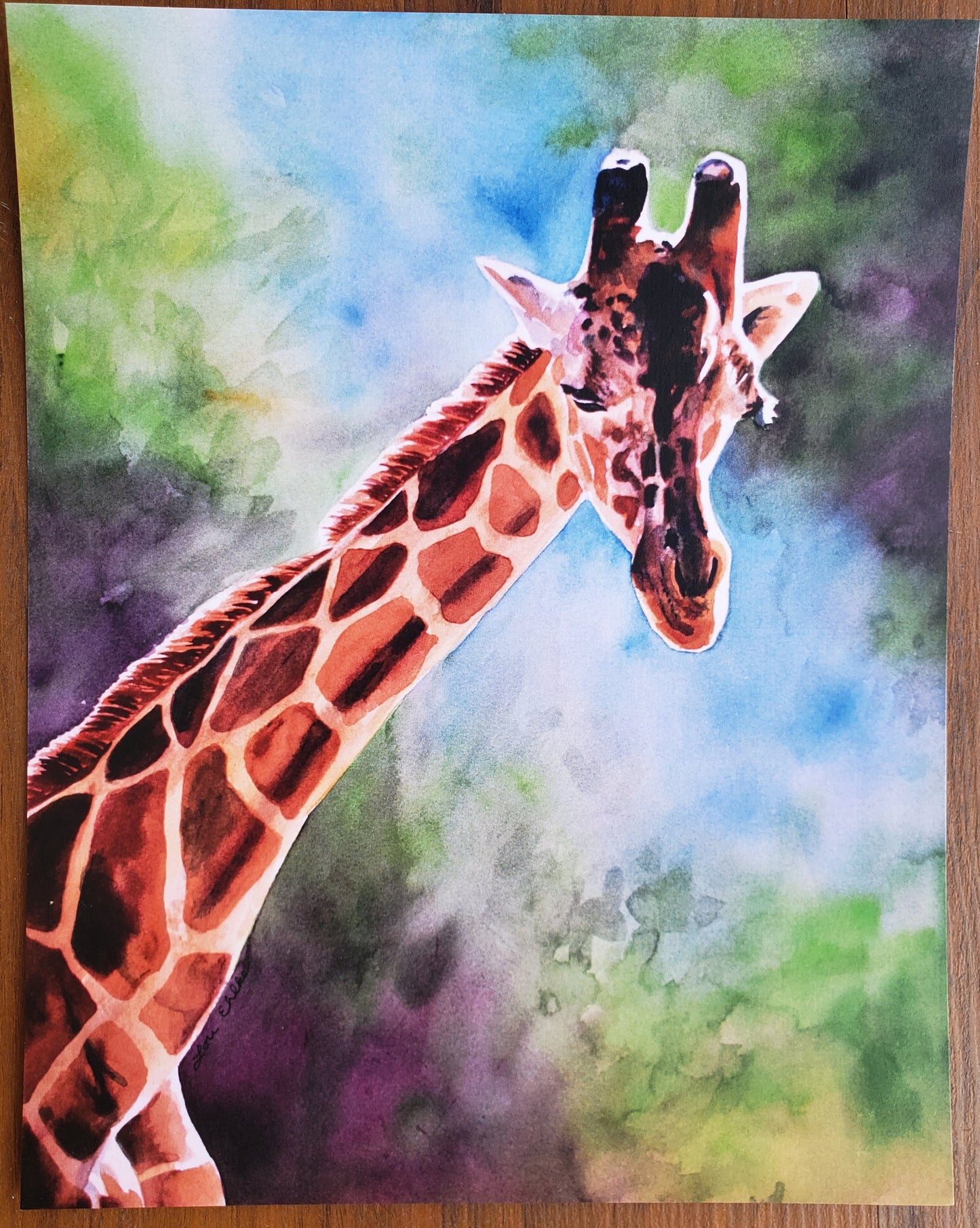 Giraffe - 11" X 14" Print