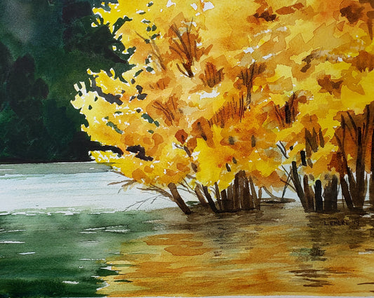 Tree in Water - 11" X 14" Print