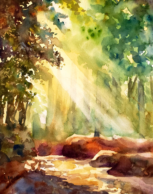 Light in a Forest - 11" X 14" Print