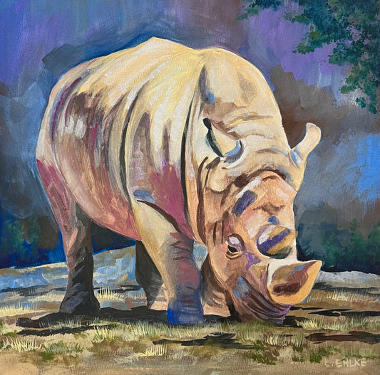 Rhino 12x12 Gouache