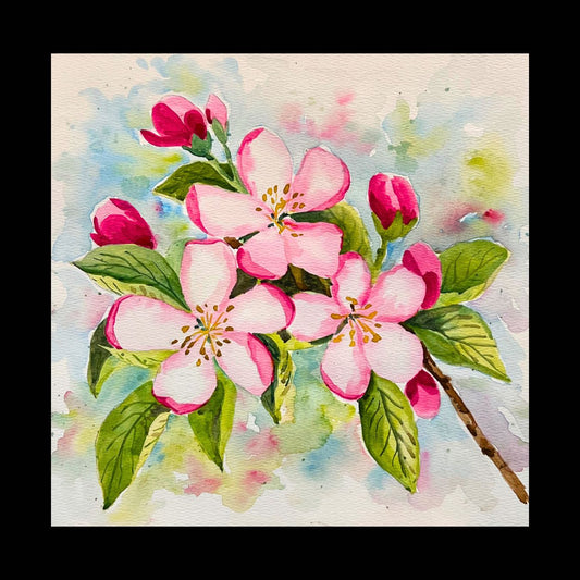 Apple Blossoms