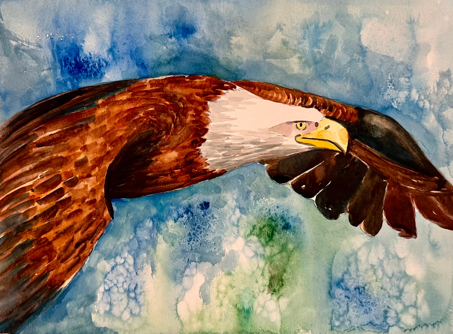 Colorful Eagle - Watercolor Original - 9x12