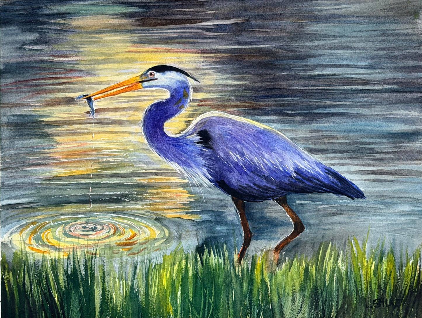 Heron with Fish - Watercolor Original - 11x14