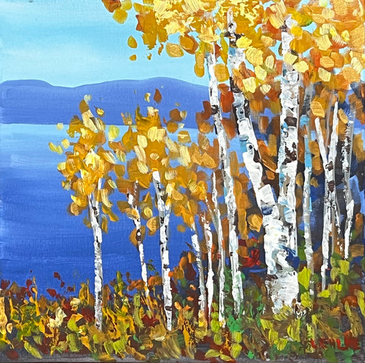 Fall Birch Trees on Canvas 10" X 10"