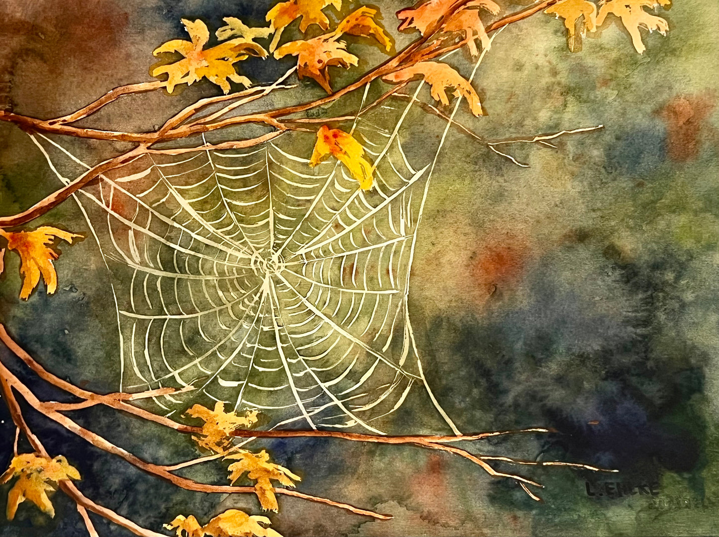 Spiderweb on Paper 11" X 14"