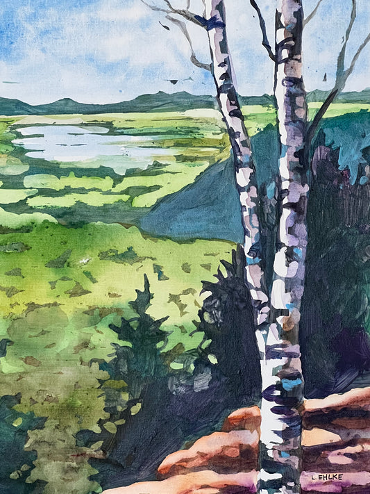 Overlook on Paper 11" X 14"