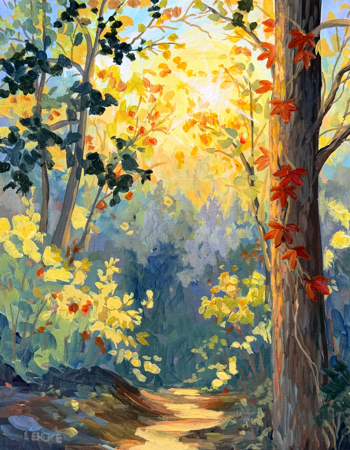 Forest Light - Acrylic Print