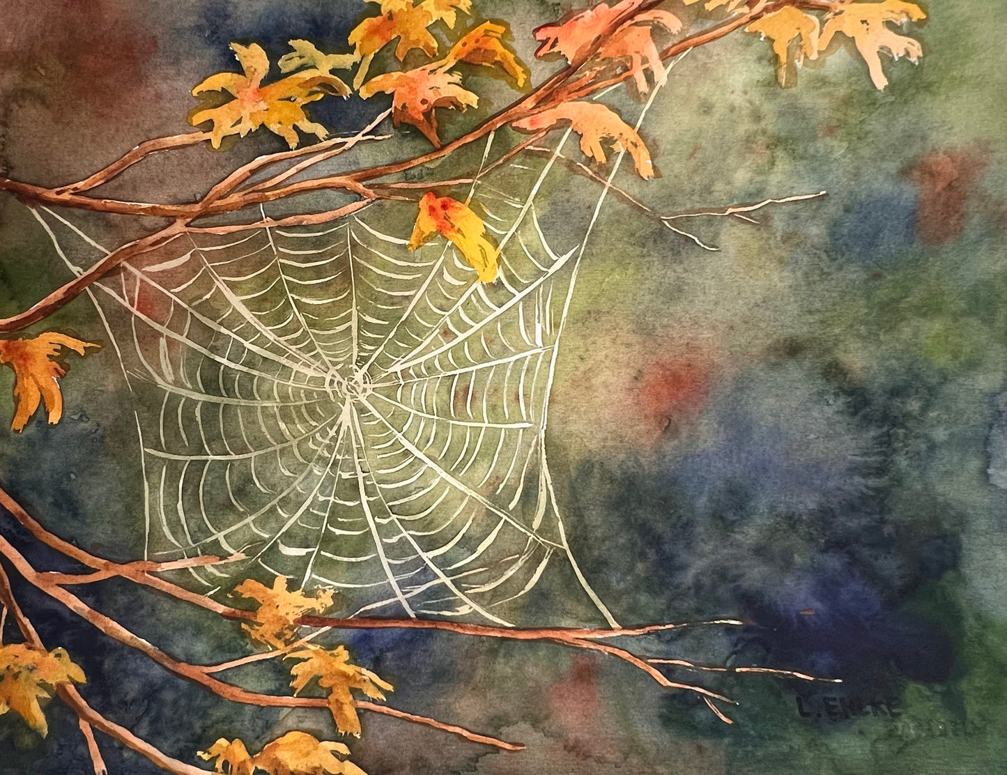 Spider Web - 11" X 14" Print