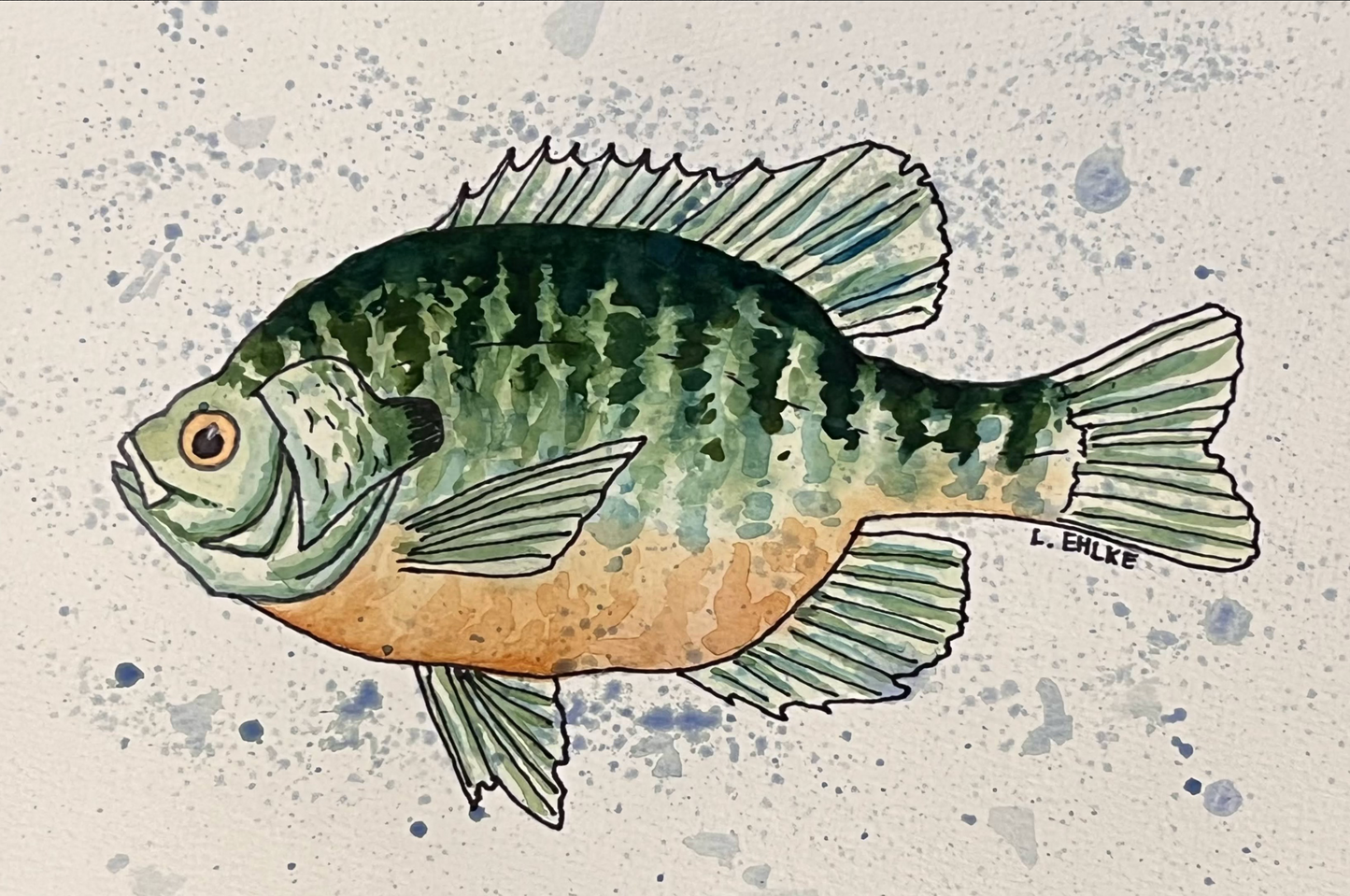 Sunfish Two - Watercolor Print