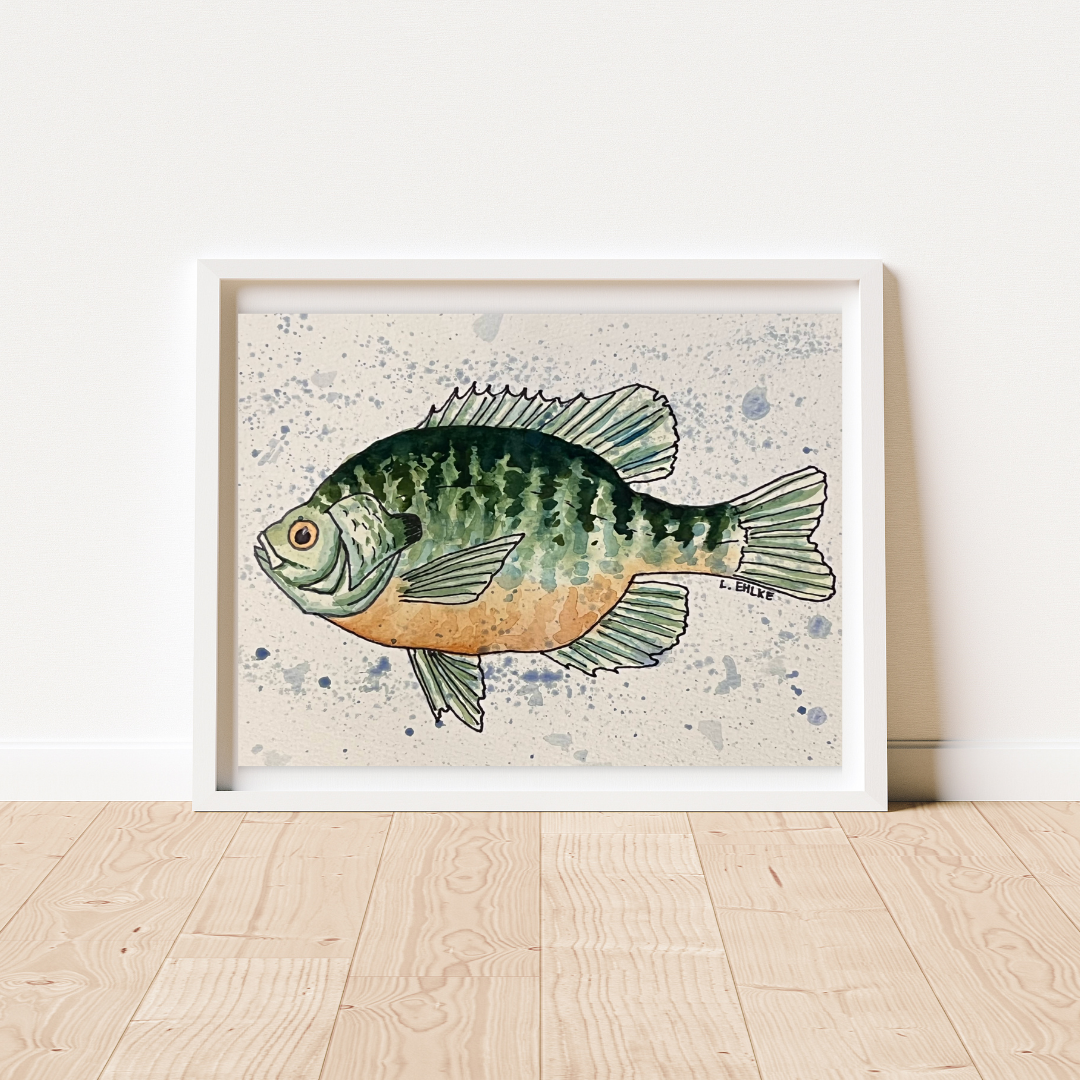 Sunfish Two - Watercolor Print
