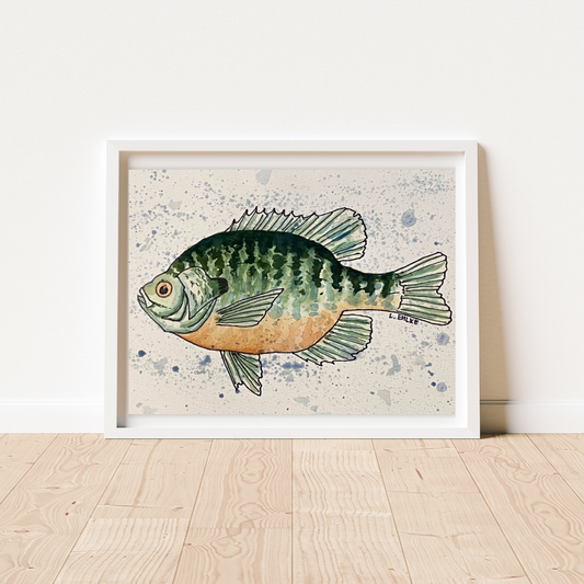 Sunfish - Watercolor Print